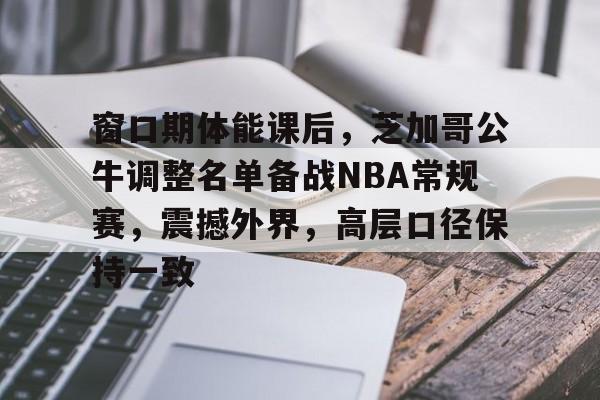 爱游戏官方入口-包含窗口期体能课后，芝加哥公牛调整名单备战NBA常规赛，震撼外界，高层口径保持一致的词条